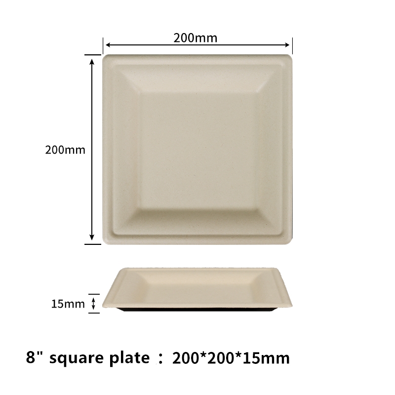PFAS Free 8 inch Compostable Paper Plates Square Plates Disposable Eco-Friendly Biodegradable Made of Sugarcane Fibers