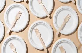 The Soaring Demand for Disposable Tableware in Restaurant Delivery Services: A Focus on Sustainable Solutions with Sugarcane Pulp