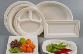 What is Bagasse? 14 Advantages and Benefits of Bagasse Packaging