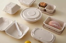 Sugarcane Pulp Biodegradable Plate: A Sustainable Revolution in Tableware
