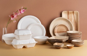 Go Green with Eco-Friendly Alternatives to Plastic and Foam Containers