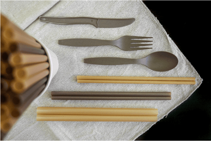 New Jersey Pushes for Plastic Ban: Sugarcane Bagasse Tableware Offers Sustainable Solutions